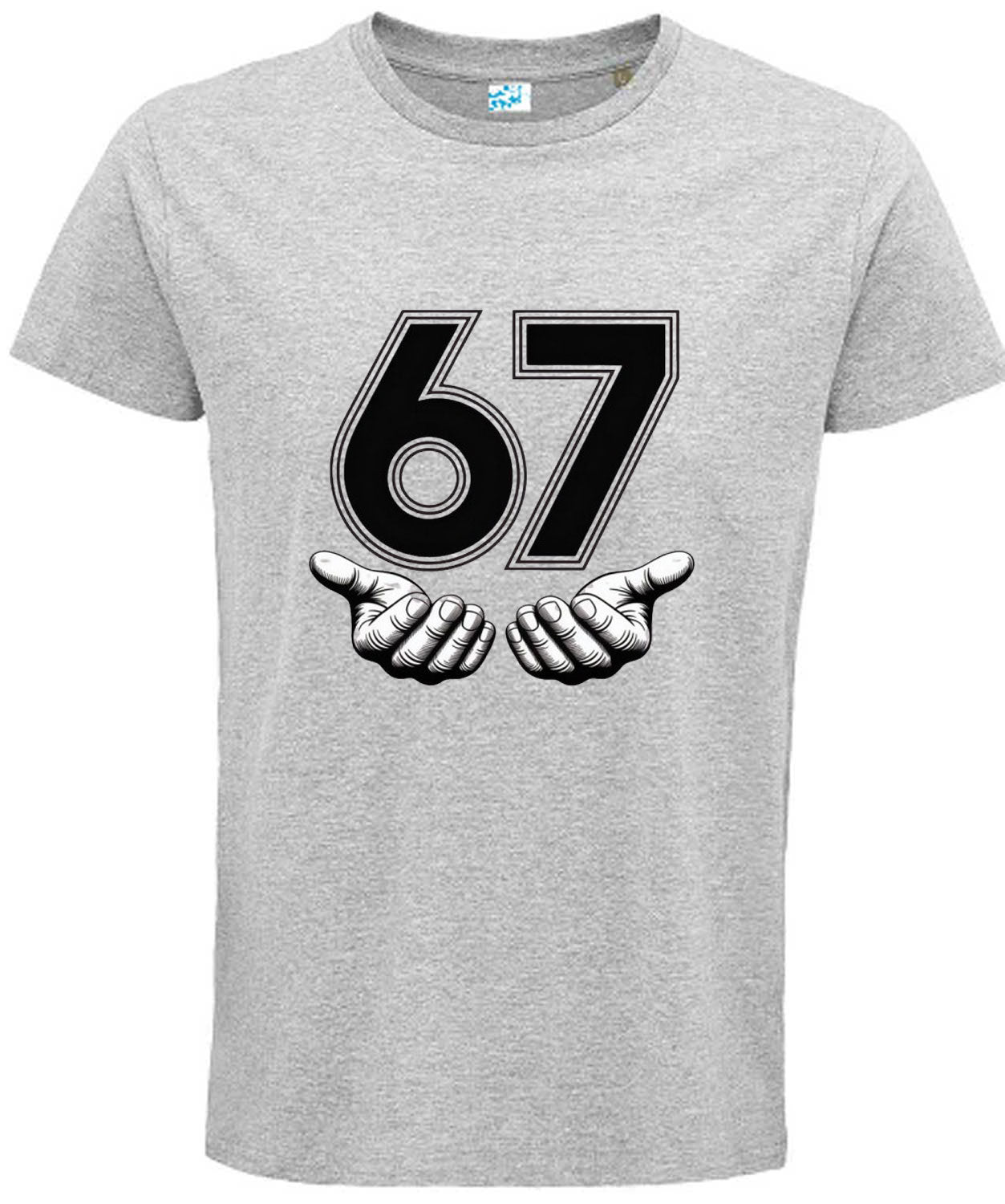 Funny 6 7 Slang Alpha Slang T Shirt