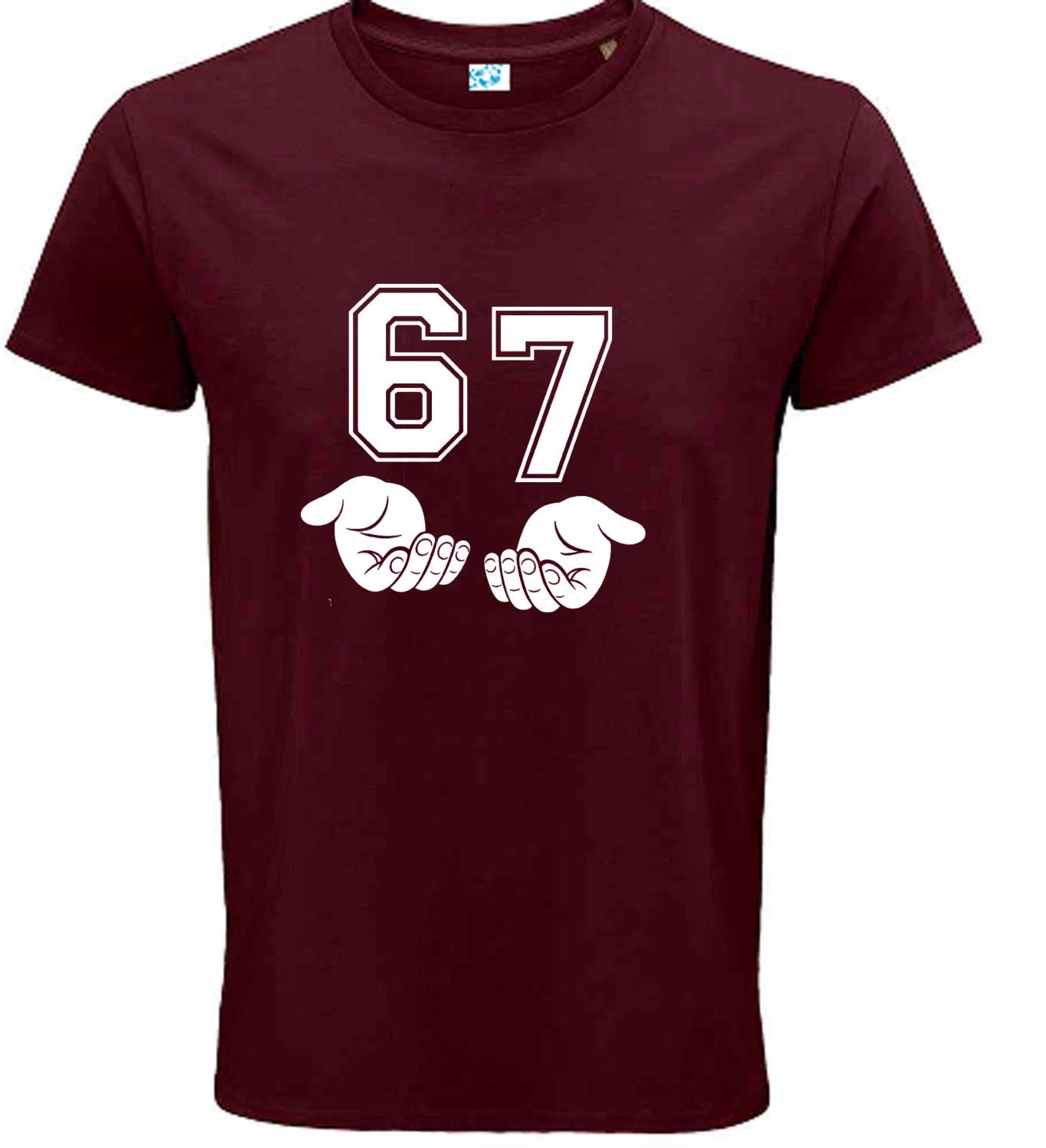 Funny 6 7 Slang Alpha Slang T Shirt