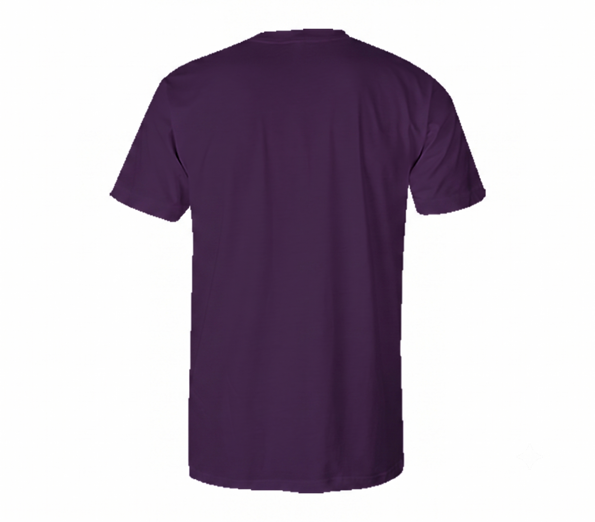 Adult Purple  T-Shirt