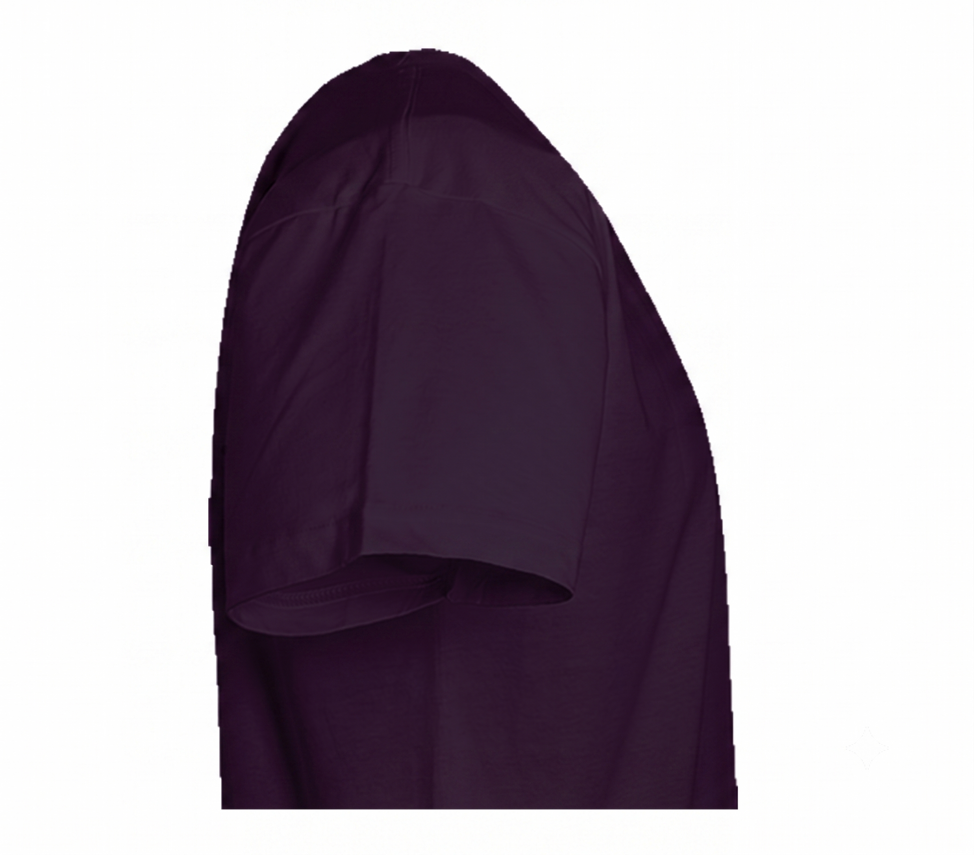 Adult Purple  T-Shirt