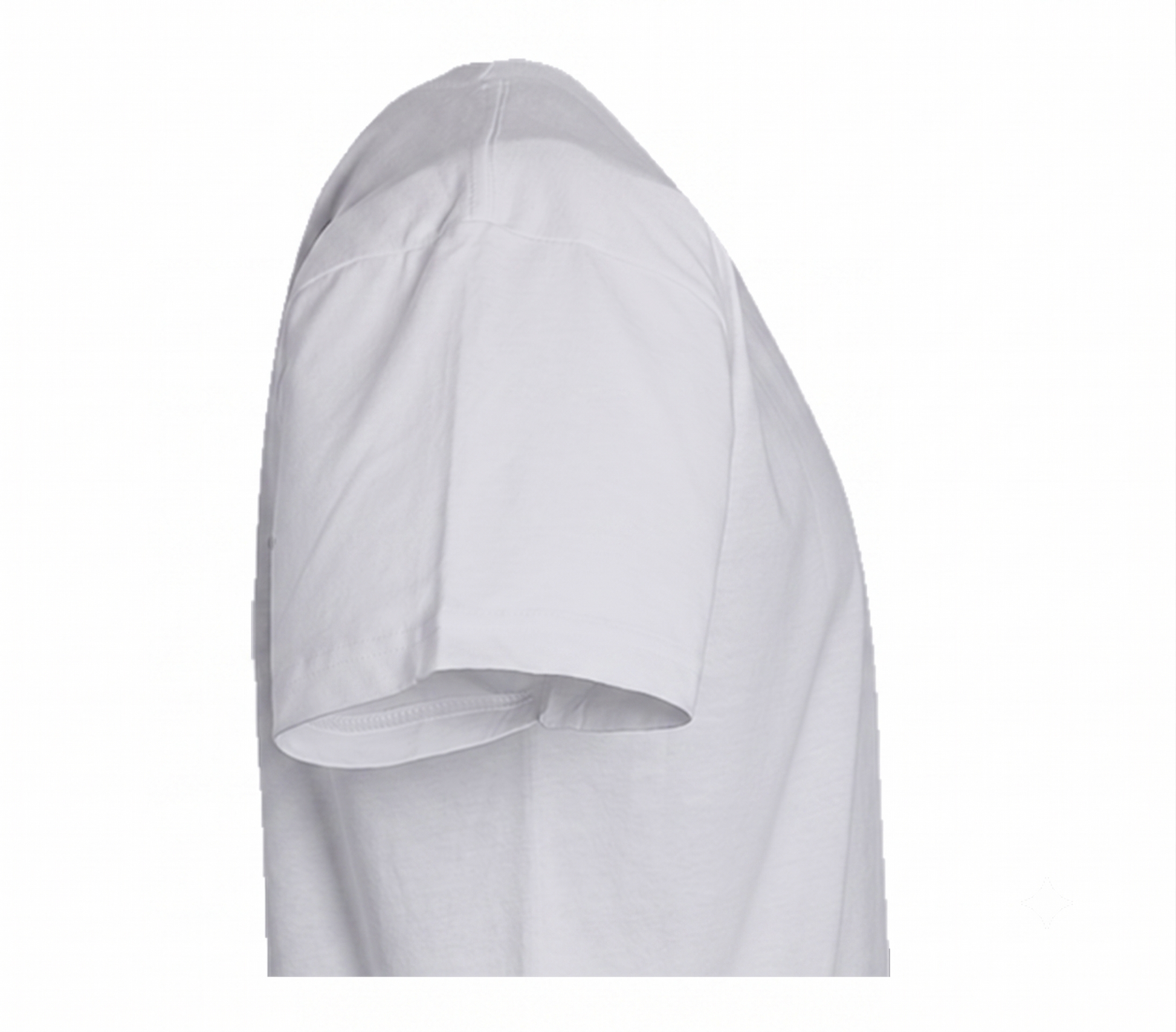 Adult Arctic White T-Shirt