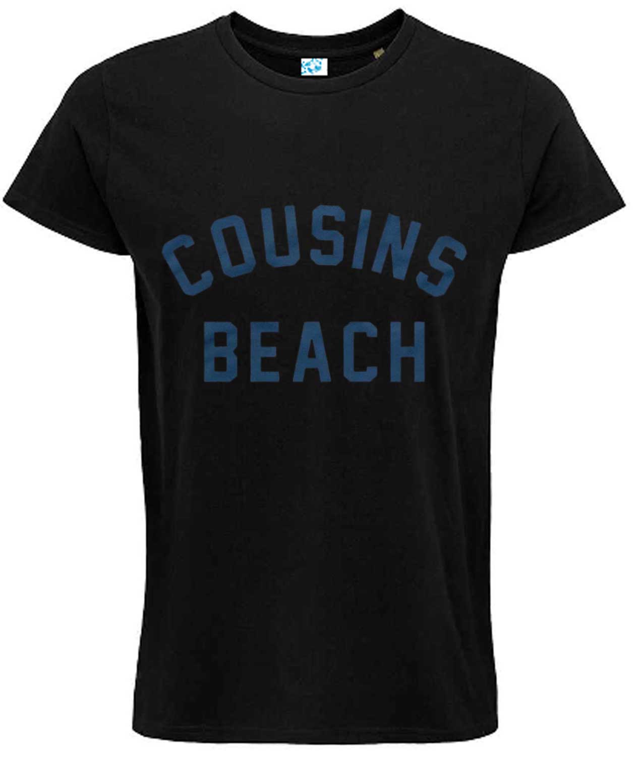 Cousins Beach T-Shirt The Summer I Turned T Shirt Inspired Pretty Grey Tee TV Top