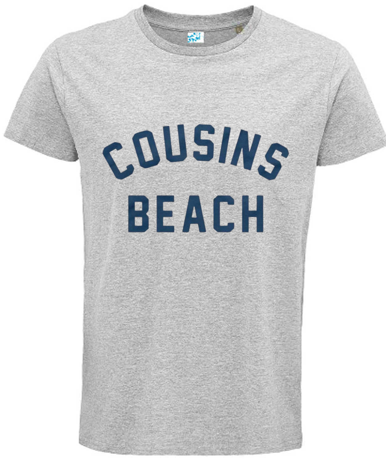 Cousins Beach T-Shirt The Summer I Turned T Shirt Inspired Pretty Grey Tee TV Top