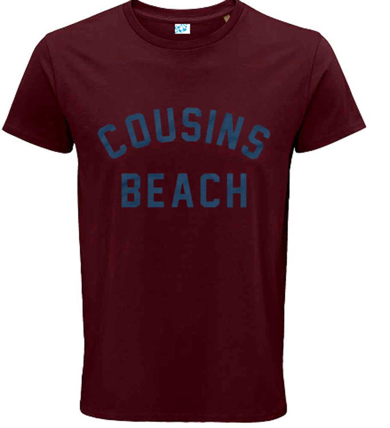 Cousins Beach T-Shirt The Summer I Turned T Shirt Inspired Pretty Grey Tee TV Top