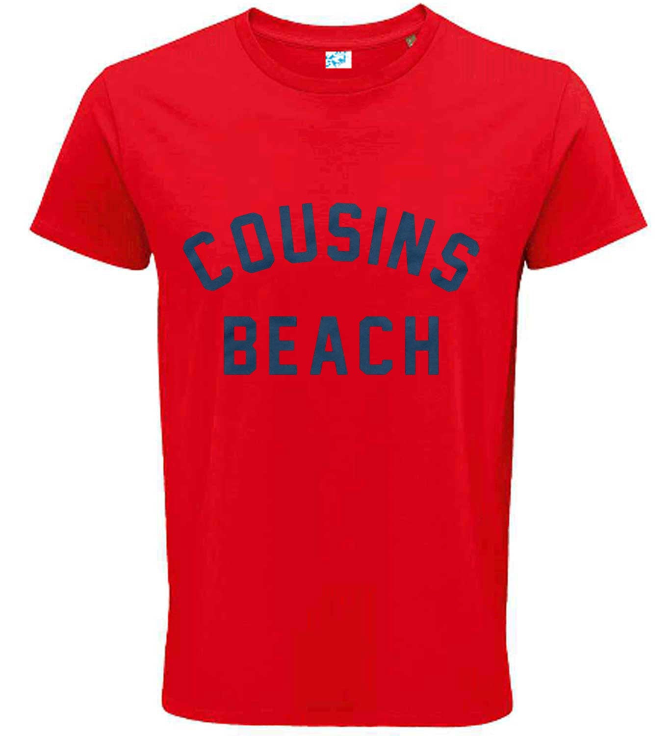 Cousins Beach T-Shirt The Summer I Turned T Shirt Inspired Pretty Grey Tee TV Top
